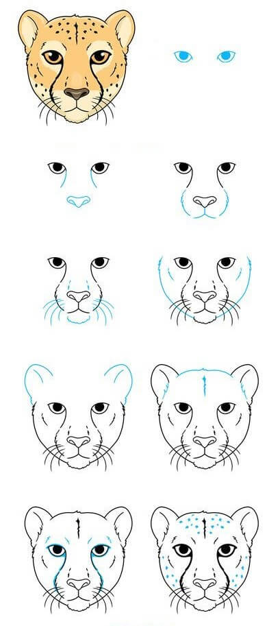 How to draw Cheetah idea (7)