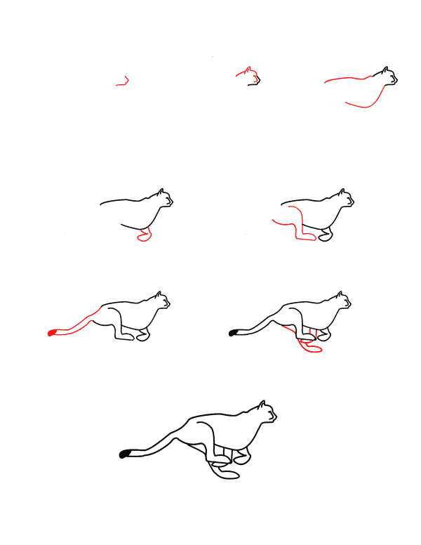 Cheetah runs Drawing Ideas