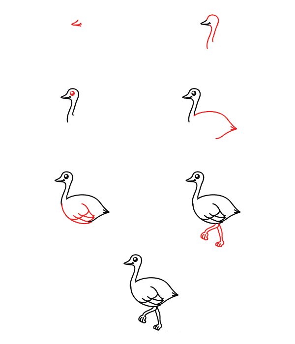 Cute ostrich Drawing Ideas