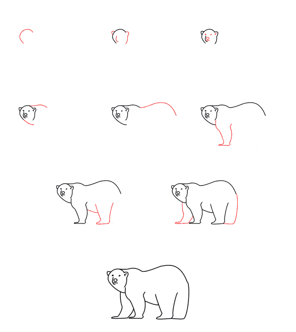 Drawing a simple polar bear (3) Drawing Ideas