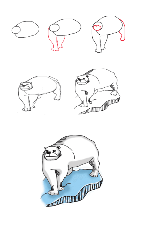 Drawing a simple polar bear Drawing Ideas