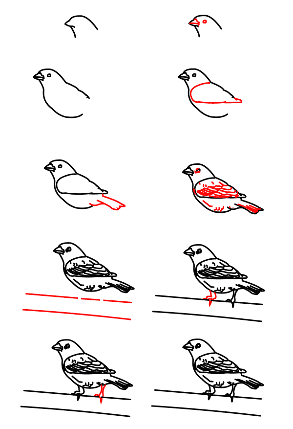 Drawing a simple sparrow Drawing Ideas