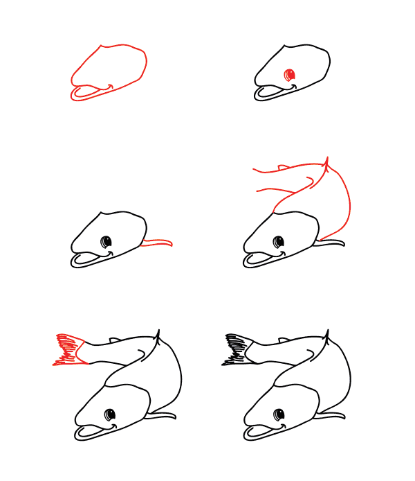 How to draw drawing salmon simple