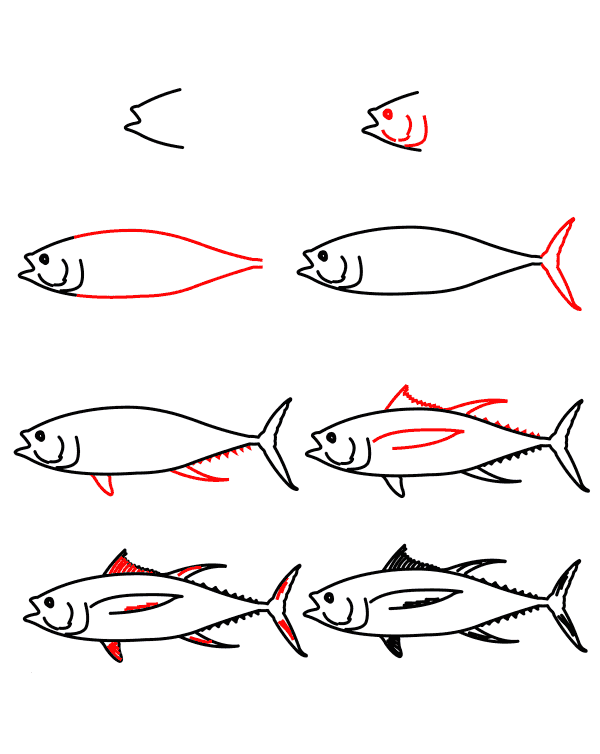 drawing tuna simple (3) Drawing Ideas