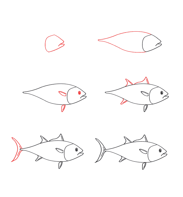drawing tuna simple Drawing Ideas