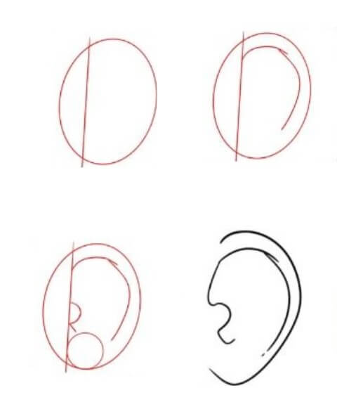 How to draw Ears idea (11)