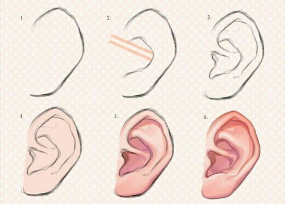 How to draw Ears idea (12)