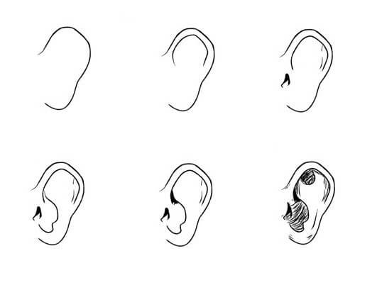 How to draw Ears idea (2)