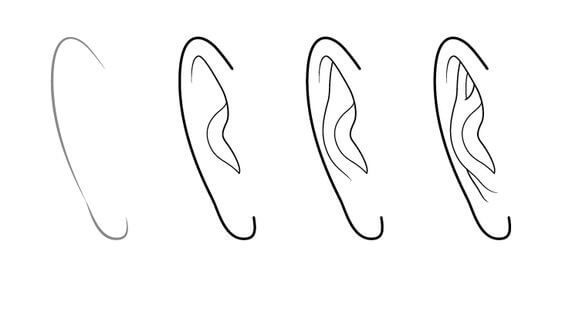 Ears idea (4) Drawing Ideas