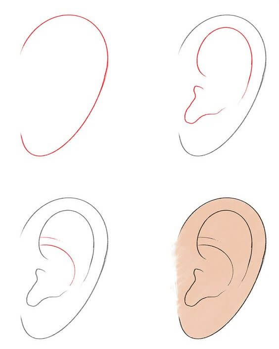 Ears idea (5) Drawing Ideas