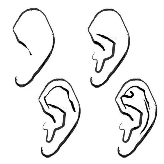 How to draw Ears idea (6)