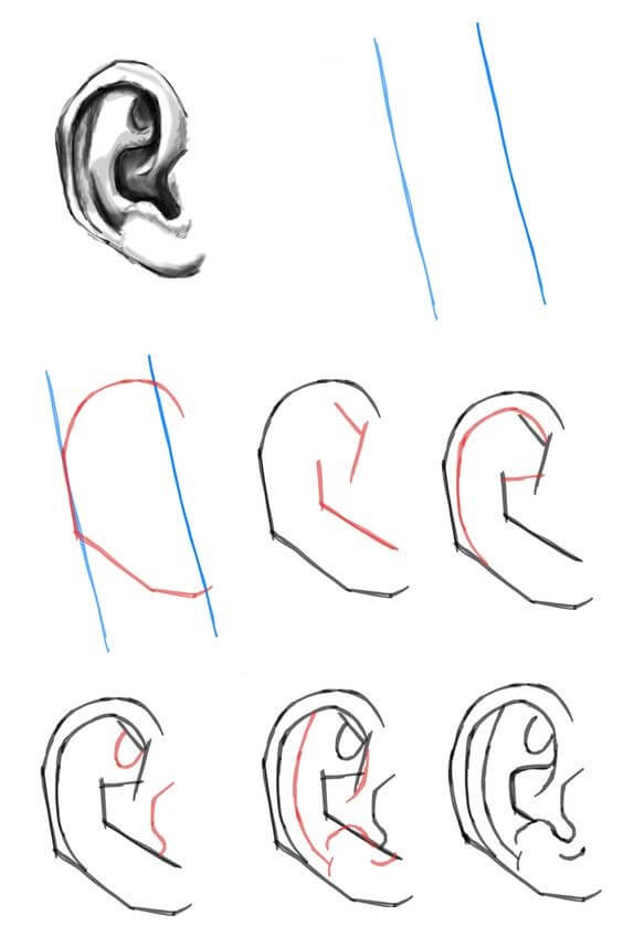 How to draw Ears idea (7)