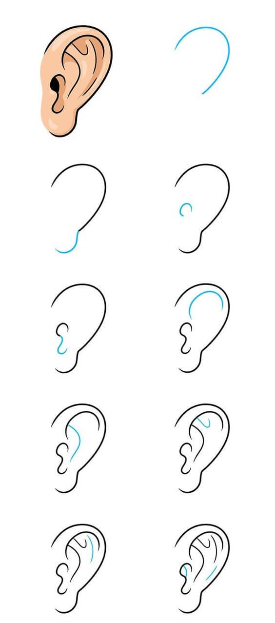 How to draw Ears idea (9)