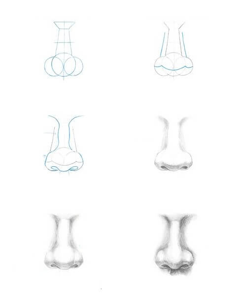 40+ Easy and Cute Nose Drawing Ideas - Drawing Photos