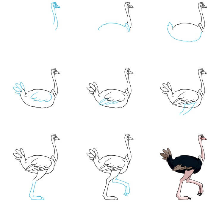 Ostrich idea (11) Drawing Ideas