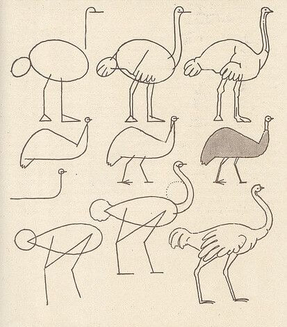 Ostrich idea (2) Drawing Ideas