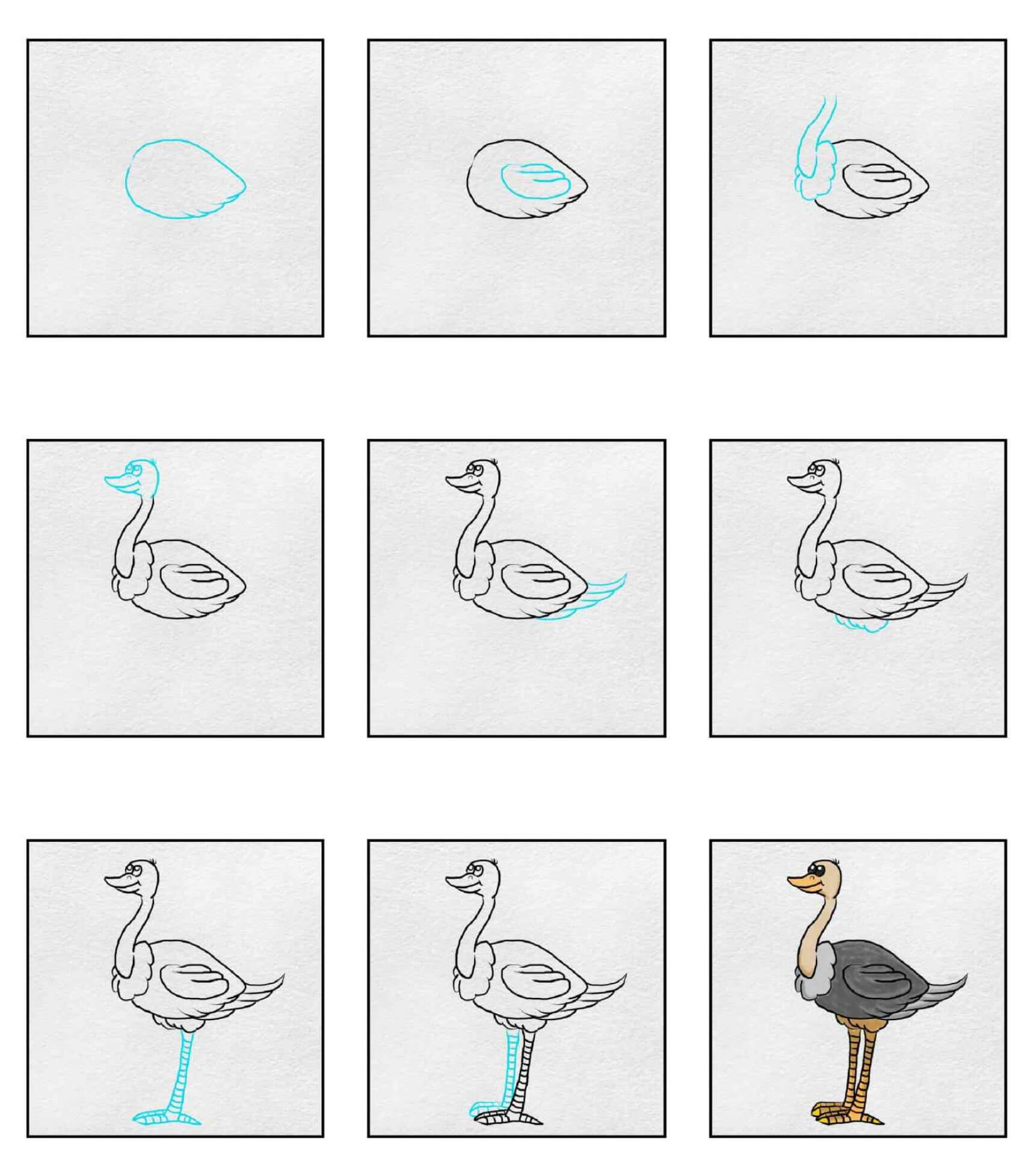 Ostrich idea (22) Drawing Ideas