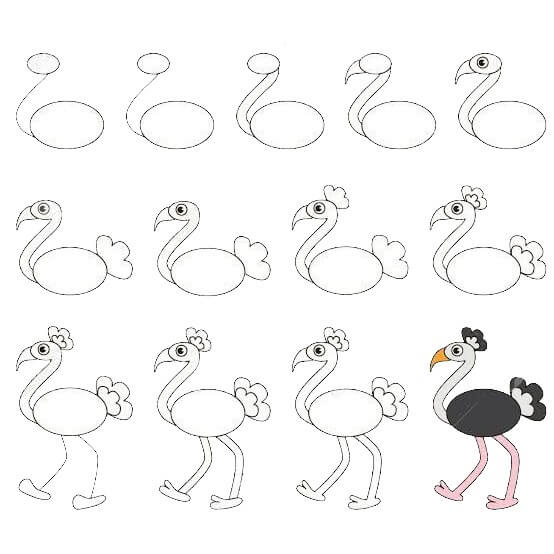 Ostrich idea (23) Drawing Ideas