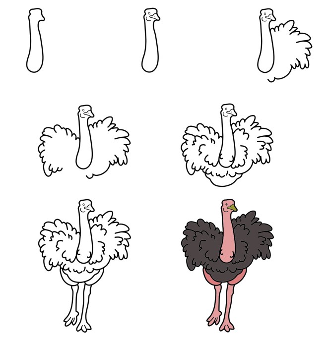 Ostrich idea (24) Drawing Ideas