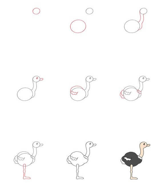 Ostrich idea (3) Drawing Ideas