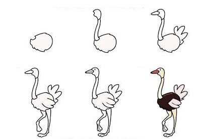 Ostrich idea (4) Drawing Ideas