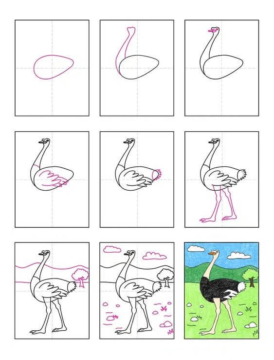 Ostrich idea (6) Drawing Ideas