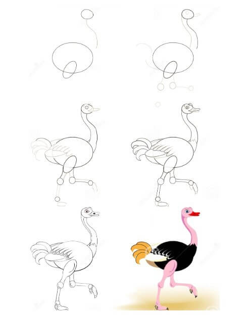 Ostrich idea (9) Drawing Ideas