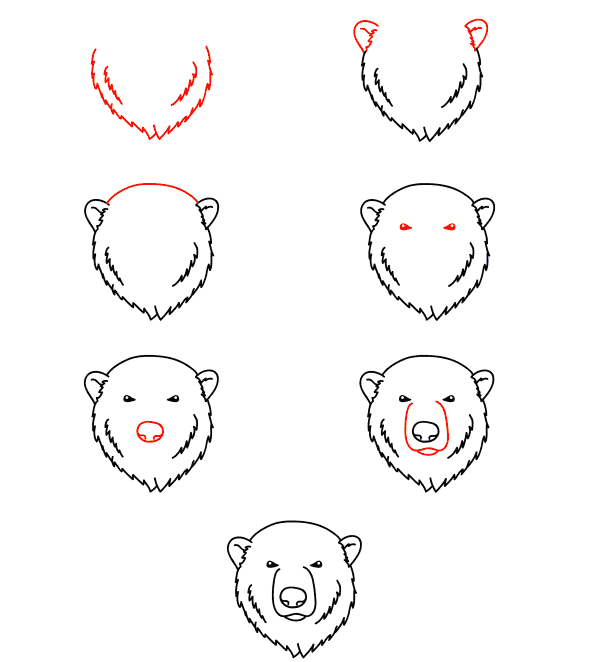 polar bear face Drawing Ideas