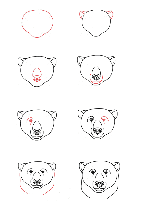 polar bear head Drawing Ideas