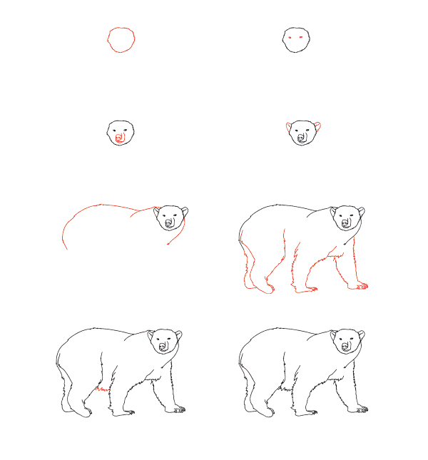 polar bear tutorial Drawing Ideas