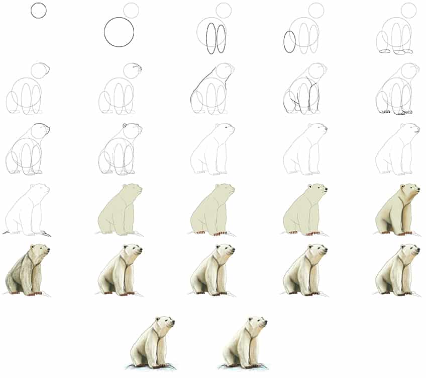 Polar bears idea (11) Drawing Ideas