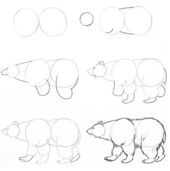 Polar bears idea (2) Drawing Ideas