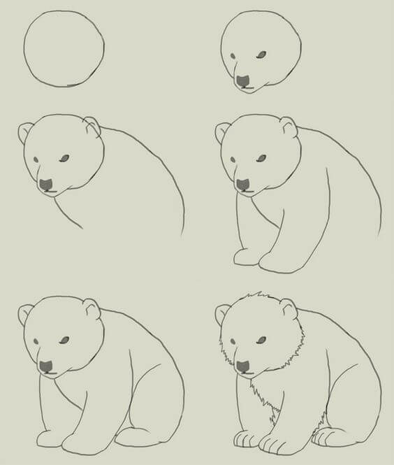 Polar bears idea (24) Drawing Ideas