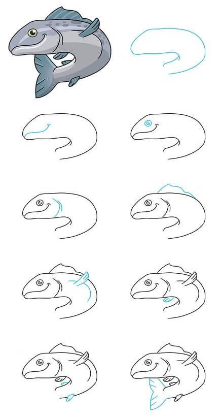 How to draw Salmon (5)