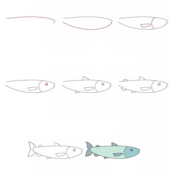 Salmon (6) Drawing Ideas