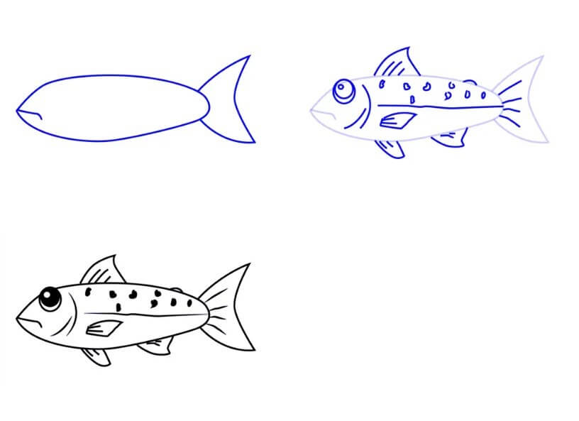 Salmon (7) Drawing Ideas