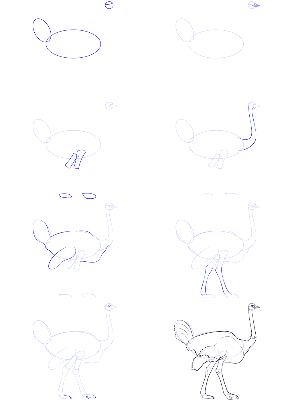 Simple ostrich drawing (2) Drawing Ideas