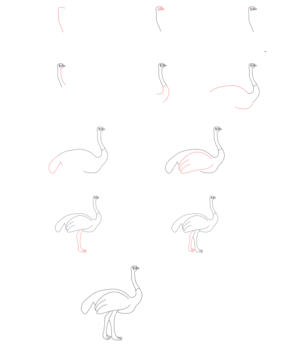 Simple ostrich drawing Drawing Ideas