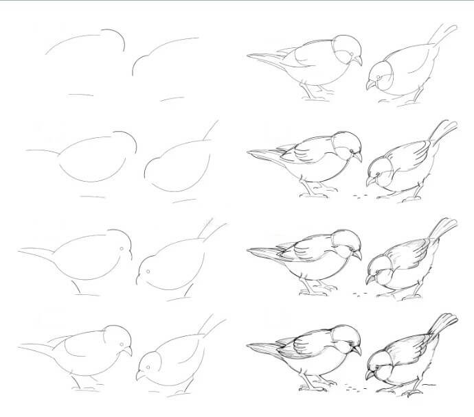 Sparrow idea (10) Drawing Ideas