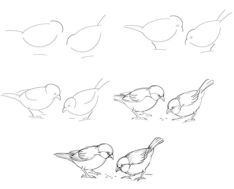 Sparrow idea (12) Drawing Ideas