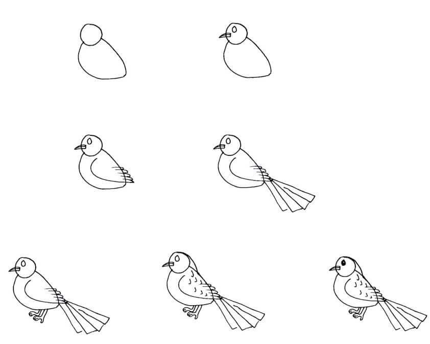 Sparrow idea (13) Drawing Ideas
