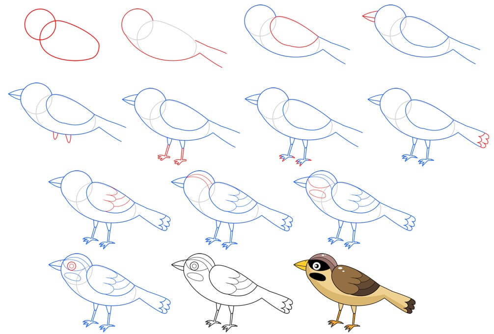 Sparrow idea (14) Drawing Ideas