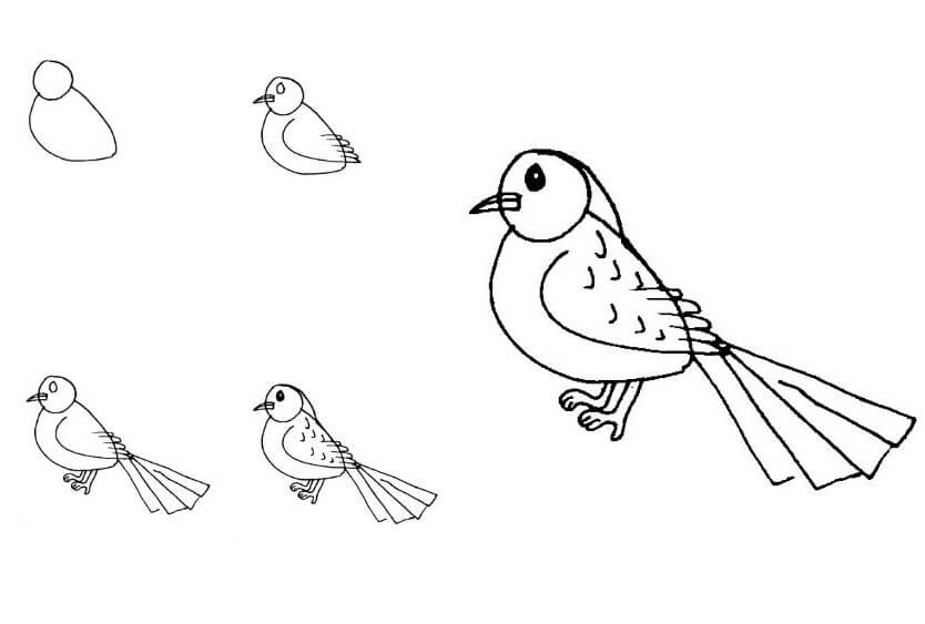 Sparrow idea (17) Drawing Ideas