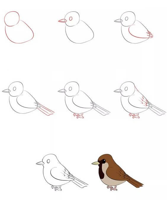 Sparrow idea (2) Drawing Ideas