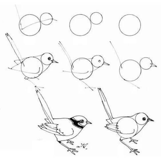 Sparrow idea (4) Drawing Ideas