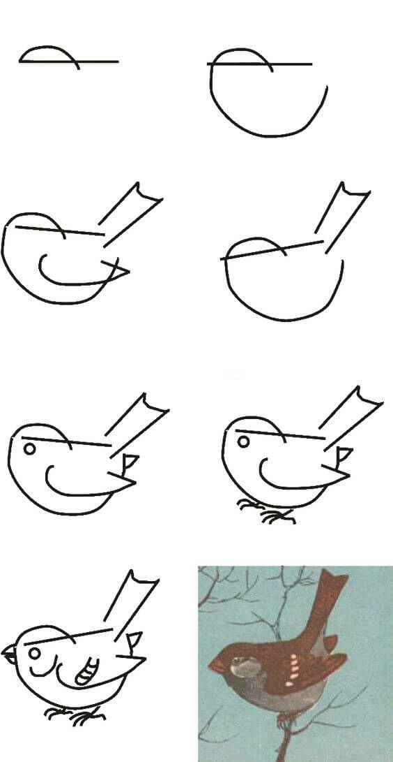 Sparrow idea (5) Drawing Ideas