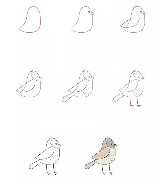 Sparrow idea (6) Drawing Ideas