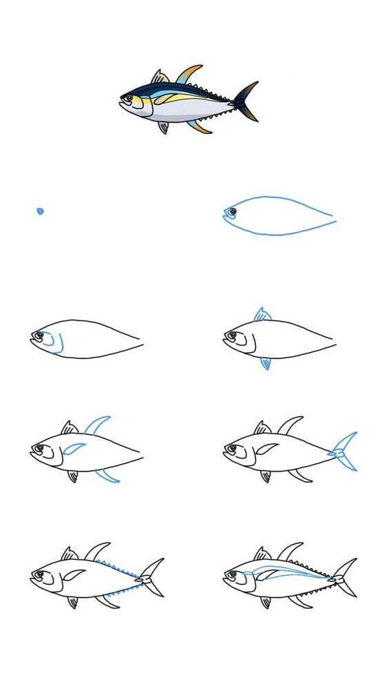 Tuna idea (2) Drawing Ideas