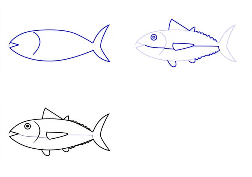 Tuna idea (4) Drawing Ideas