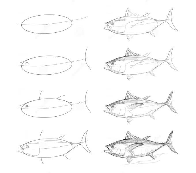 Tuna idea (5) Drawing Ideas